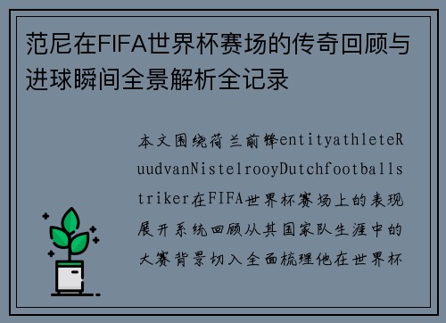 范尼在FIFA世界杯赛场的传奇回顾与进球瞬间全景解析全记录